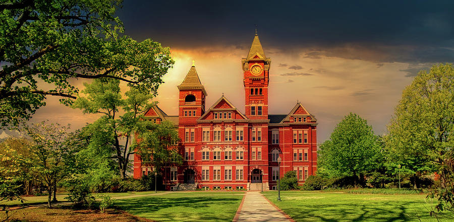 No. 17 Auburn hosts Samford for Bark in the Park night - Auburn University  Athletics