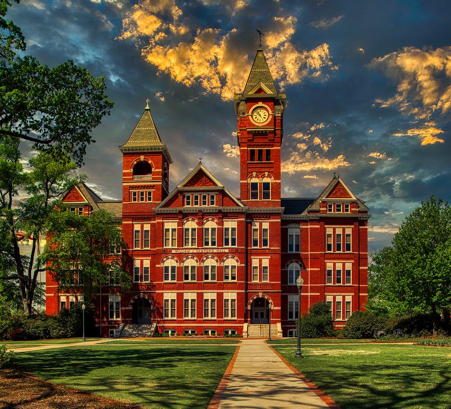 No. 17 Auburn hosts Samford for Bark in the Park night - Auburn University  Athletics