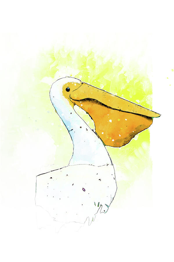 Sammy the Pelican Mixed Media by Pamela Williams