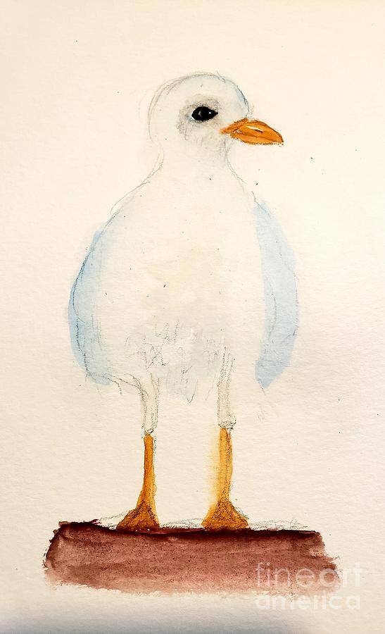 Sammy the Seagull Painting by Margaret Welsh Willowsilk
