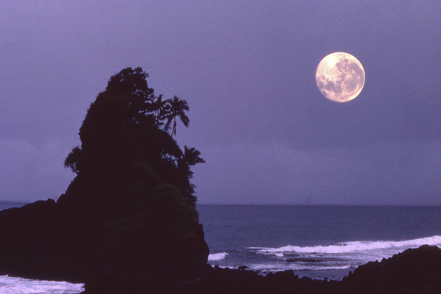 Samoan Moon Photograph by Jerry Griffin