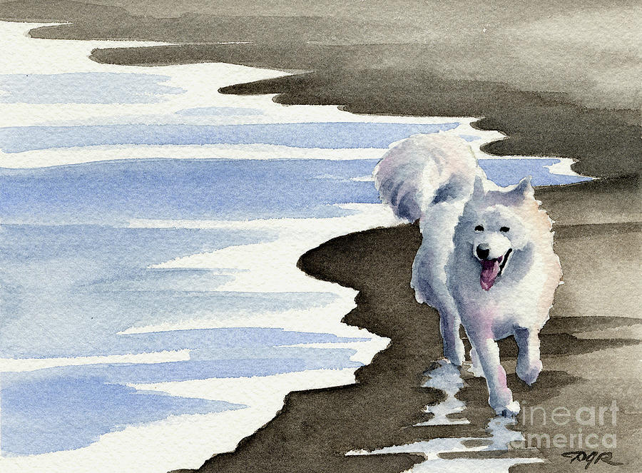 Dog Painting - Samoyed at the Beach by David Rogers