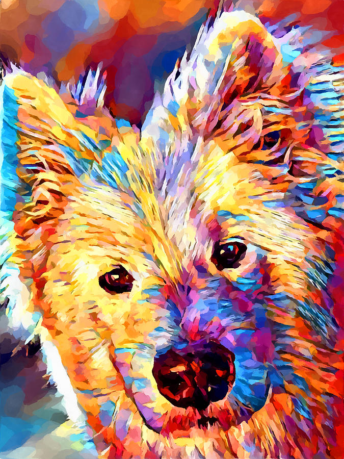Samoyed Painting by Chris Butler