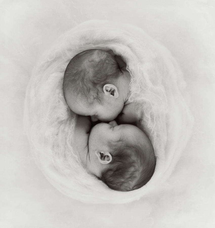 Black & White Photograph - Samuel and Ryan by Anne Geddes
