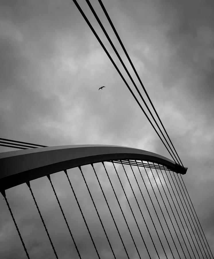 Samuel Beckett bridge  Photograph by Matt MacMillan