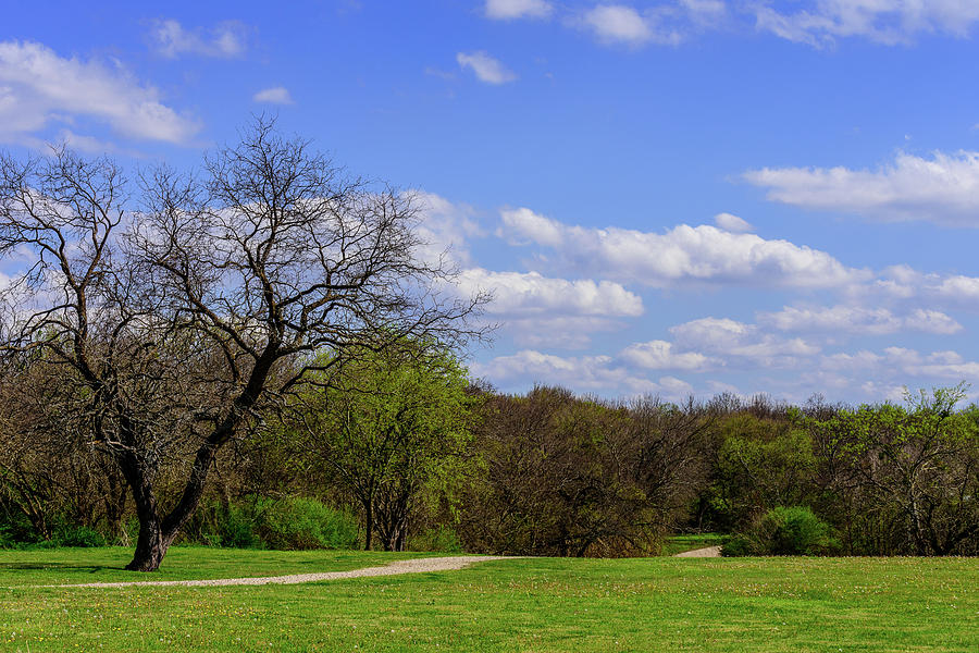 Samuel Farms Park Series-0228 Photograph by Keith Johnson | Pixels