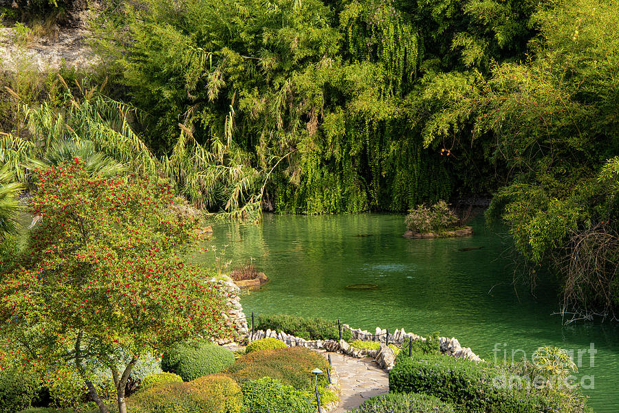 San Antonio Japanese Garden Landscape and Pond One Photograph by Bob Phillips