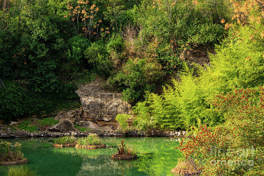 San Antonio Japanese Garden Landscape and Pond Two Photograph by Bob Phillips
