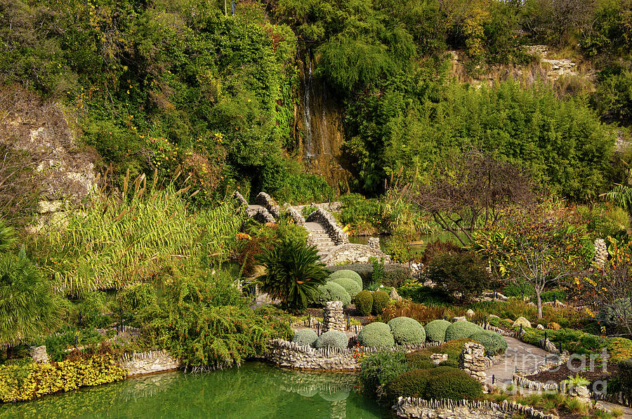 San Antonio Japanese Garden Landscape and Waterfall Two Photograph by Bob Phillips