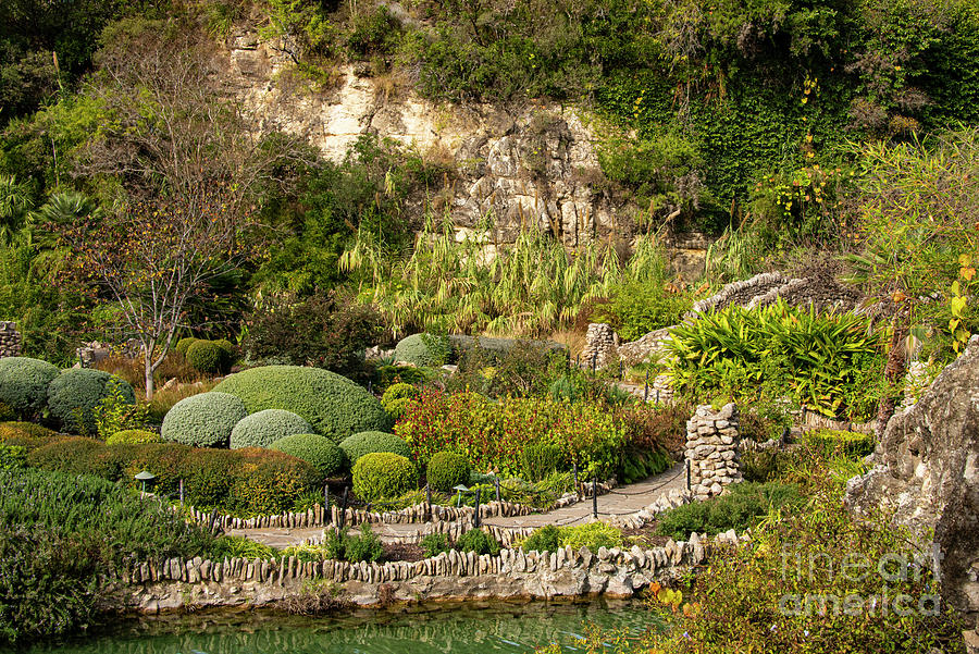 San Antonio Japanese Garden Landscape One Photograph By Bob Phillips