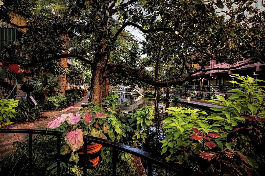 San Antonio Riverwalk View From The Rainforest Cafe Photograph by Judy Vincent