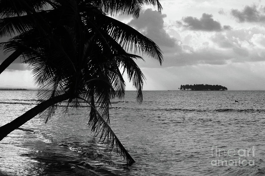 San Blas Islands black and white Panama Photograph by James Brunker