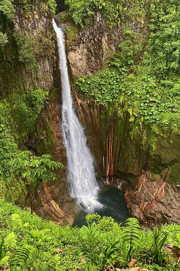 San Carlos Waterfall Photograph by Alan Lenk