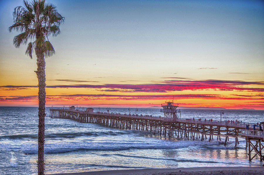 San Clemente Pier With Palm Photograph