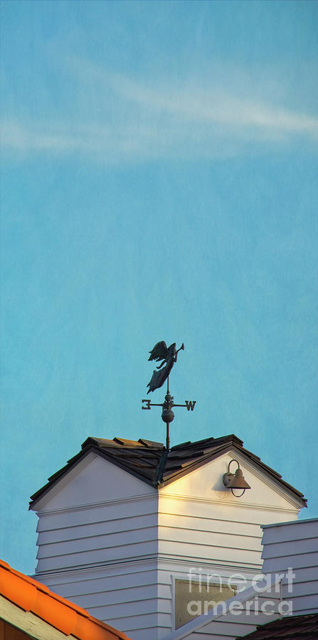 San Diego Beach Weather Vane Photograph