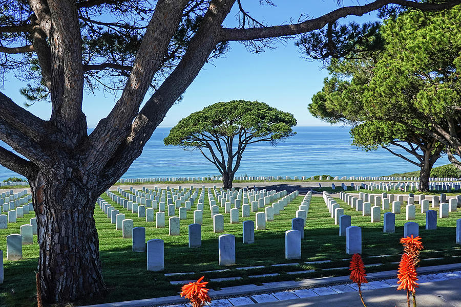 San Diego California Fort Loma Fort Rosecrans National Cemetery Photograph by Toby McGuire