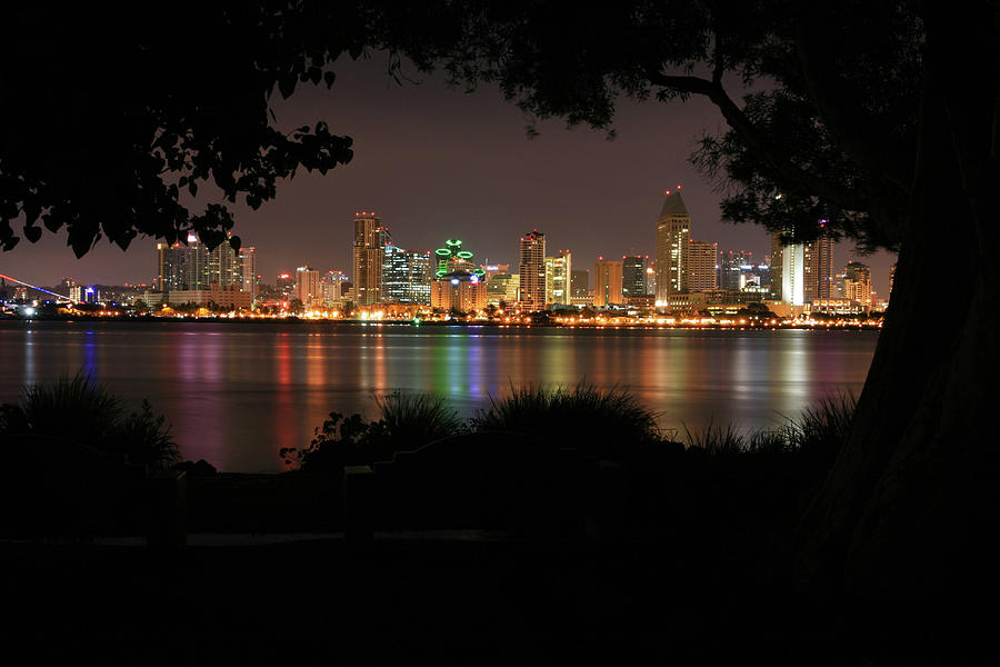 San Diego Skyline at Night Photograph by Scott Cunningham