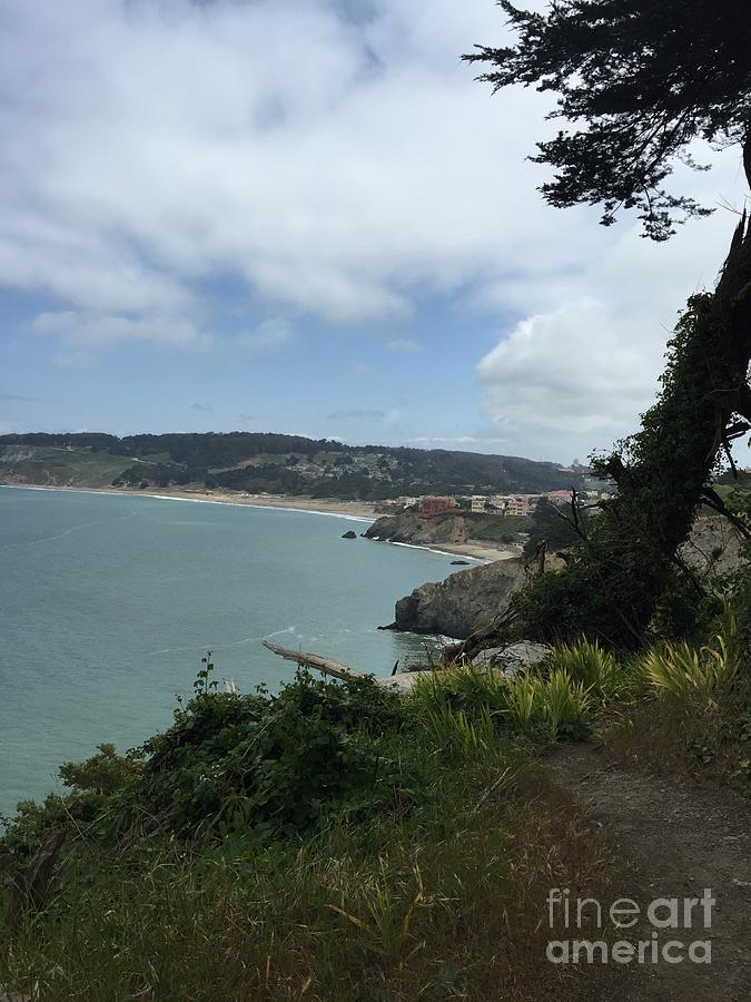The PRESIDIO Along San Francisco Bay Coastline  Photograph by Catherine Ludwig Donleycott