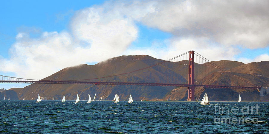 San Francisco Bay Landscape Photograph by Scott Cameron