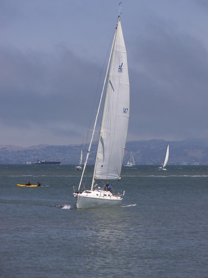 San Francisco Bay Sailing Photograph by Heather E Harman
