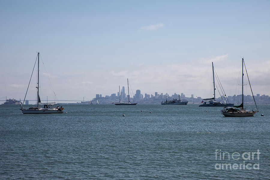 San Francisco Bay Photograph by Timothy Johnson