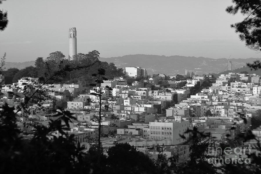 San Francisco Cityscape Photograph by Aidan Moran