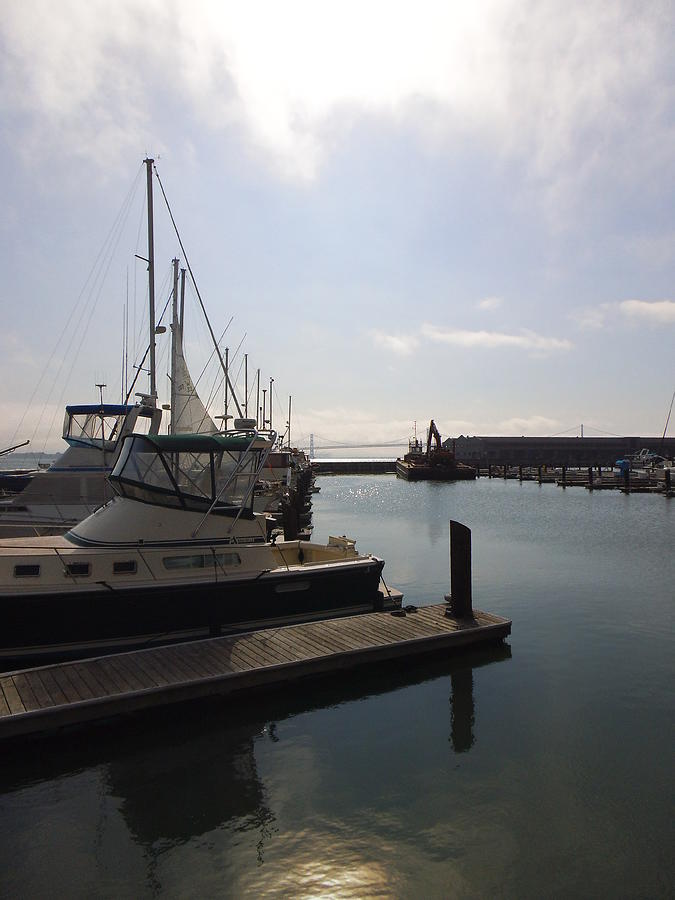 San Francisco Docks Photograph by Heather E Harman