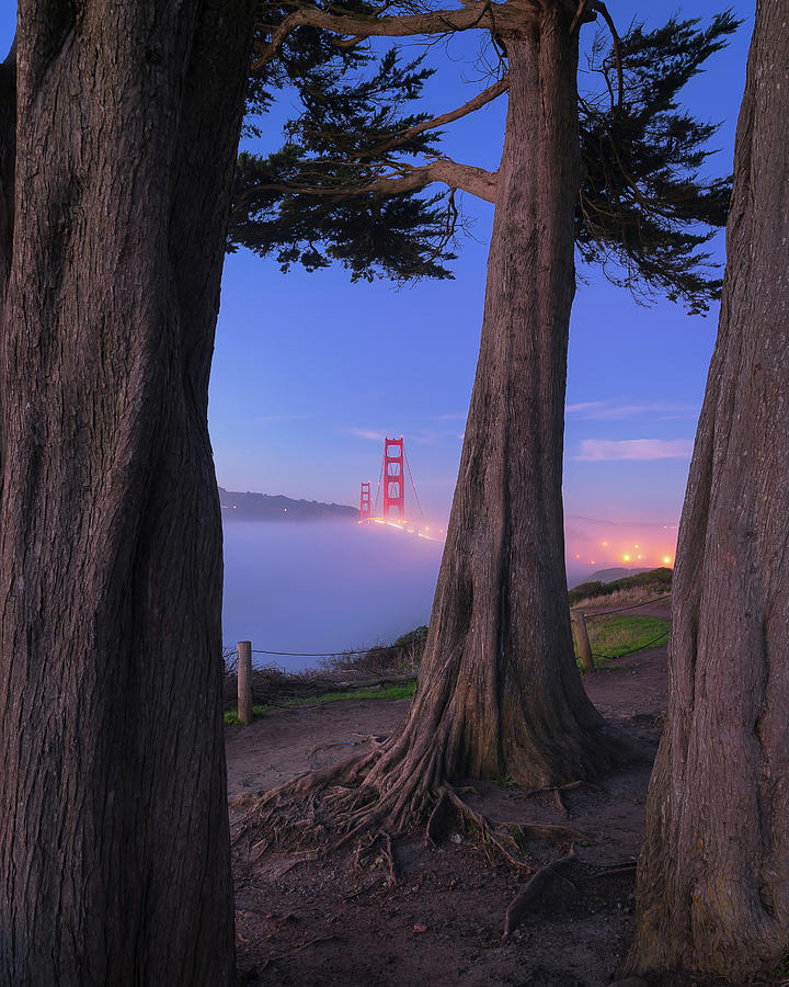 San Francisco Golden Gate Bridge Photograph