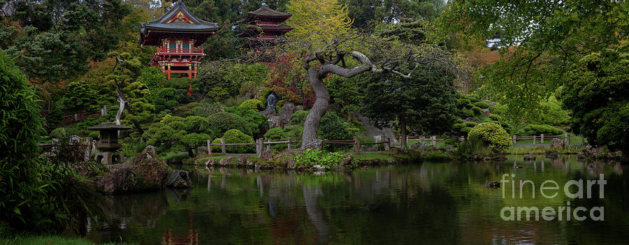 San Francisco Japanese Garden Photograph by Mike Reid