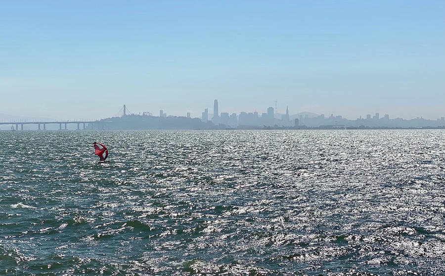 San Francisco Panorama And Sail Photograph