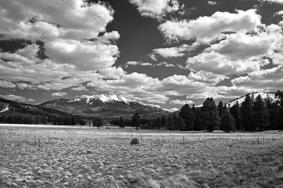 San Francisco Peaks in Black and White, Northern Arizona Photograph by Chance Kafka