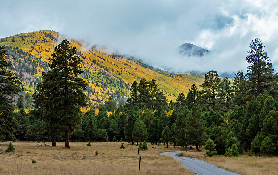 San Francisco Peaks Of Flagstaff During Fall Photograph by Ray Redstone ...