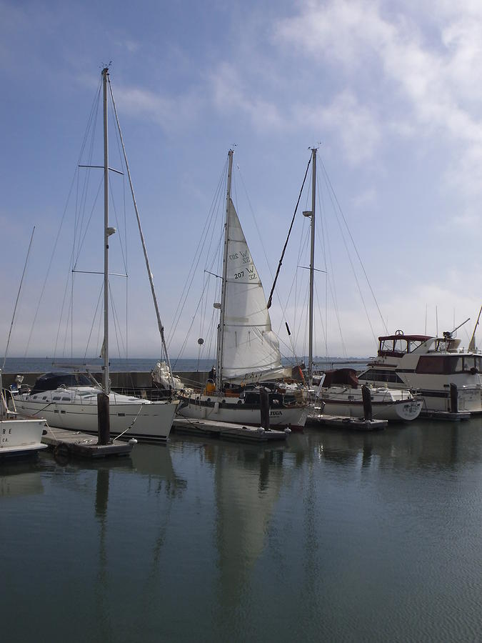 San Francisco Sail Boats Photograph by Heather E Harman
