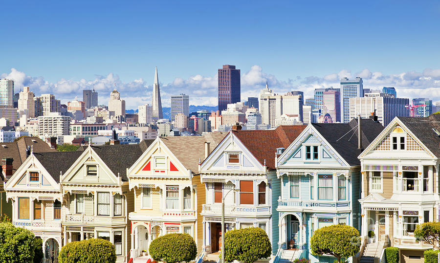 San Francisco skyline and Painted Ladies, California Photograph by Neale And Judith Clark