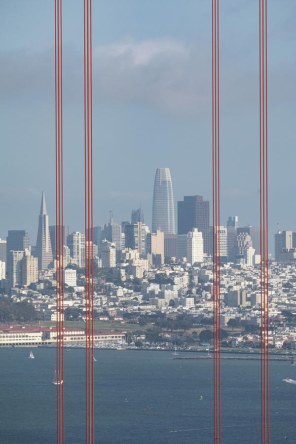 San Francisco Skyline Vertical Photograph by Denise Kopko