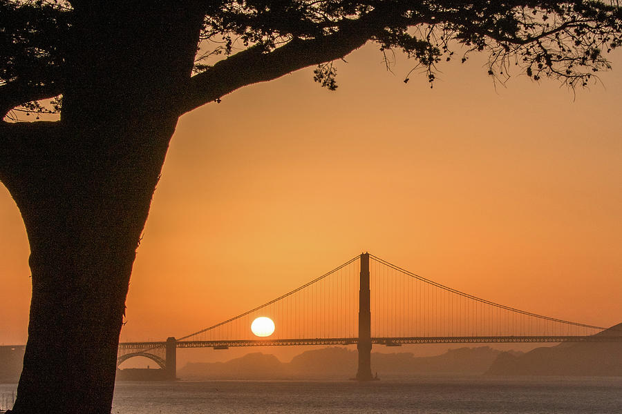 San Francisco Sunset Photograph by Ken Stampfer