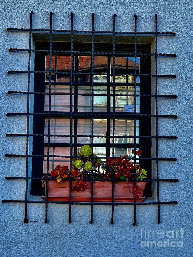 San Francisco Window Photograph by Suzanne Lorenz