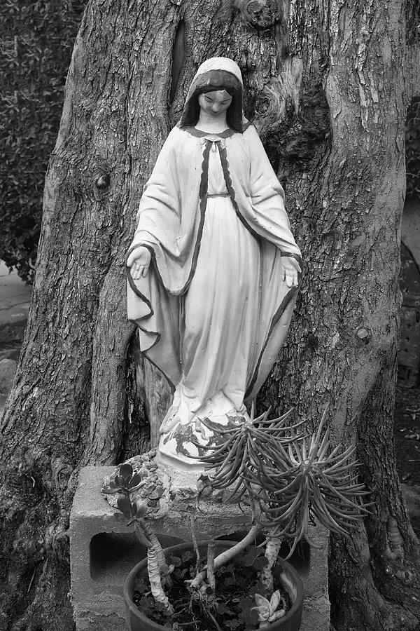 San Gabriel Mission - Virgin Mary - Black and White Photograph by Ram Vasudev
