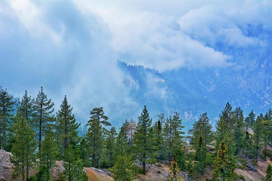 San Gabriel Mountains Fog Photograph by Kyle Hanson