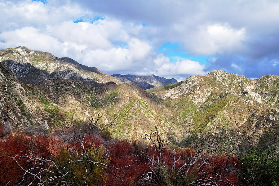 San Gabriel Mountains National Monument Photograph by Kyle Hanson