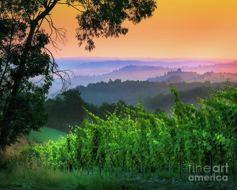 Landscape Photograph - San Gimignano Hills by Inge Johnsson