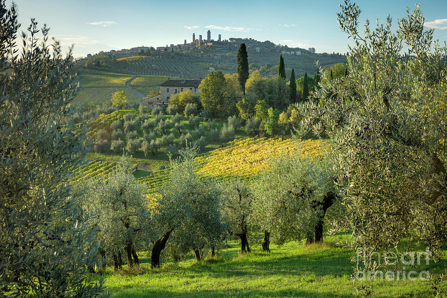 San Gimignano View Photograph by Brian Jannsen