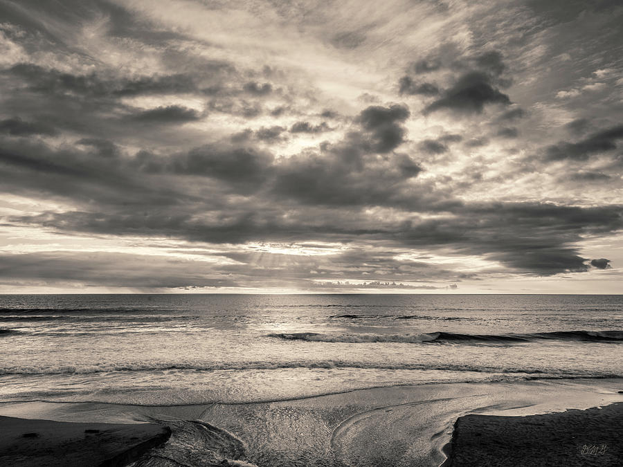 Beach Photograph - San Gregorio SB III Toned by David Gordon