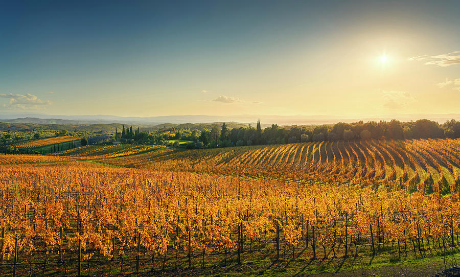 San Gusme, Chianti vineyards at sunset. Tuscany Photograph by Stefano Orazzini