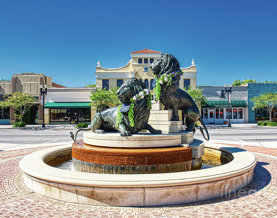 San Marco Lions Sculpture, Jacksonville, Fl Photograph by Greg Hager
