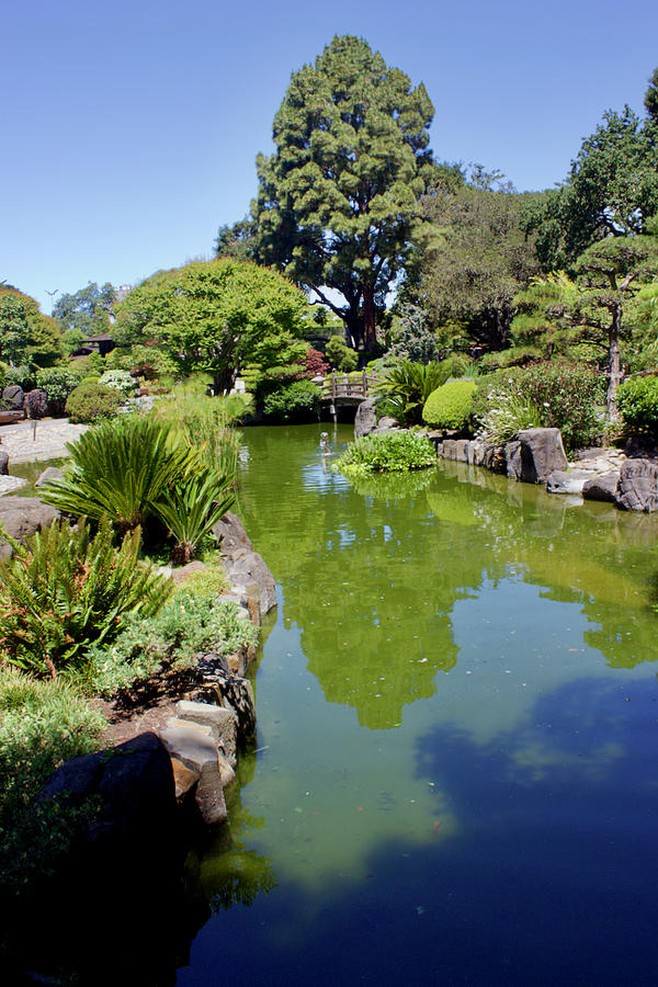 San Mateo Japanese Garden Photograph by Dan Twomey