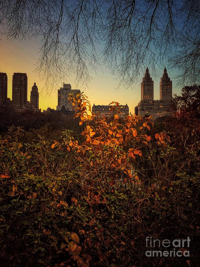 San Remo Sunset - Central Park New York Photograph by Miriam Danar