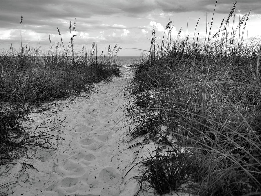 Sand and Sea Oats - Headed for the Beach Photograph by James C Richardson