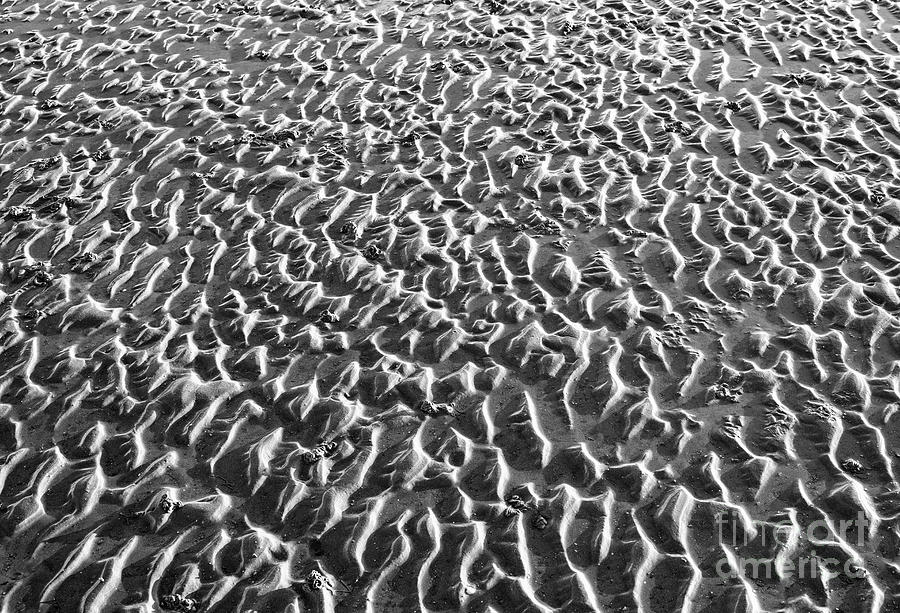 Sand and Sea Ripples Monochrome Photograph by Tim Gainey