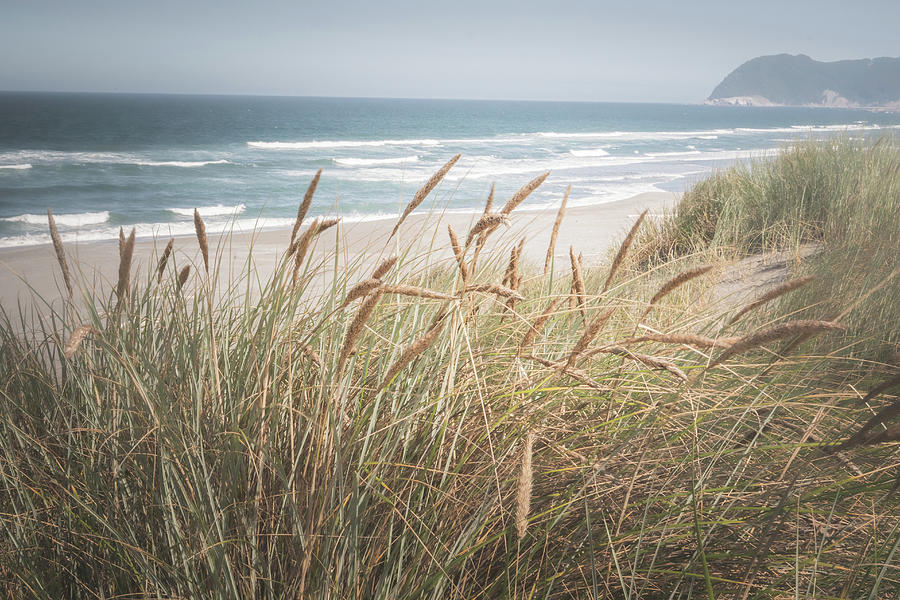 Landscape Photograph - Sand and Seagrass 1 by Ryan Weddle